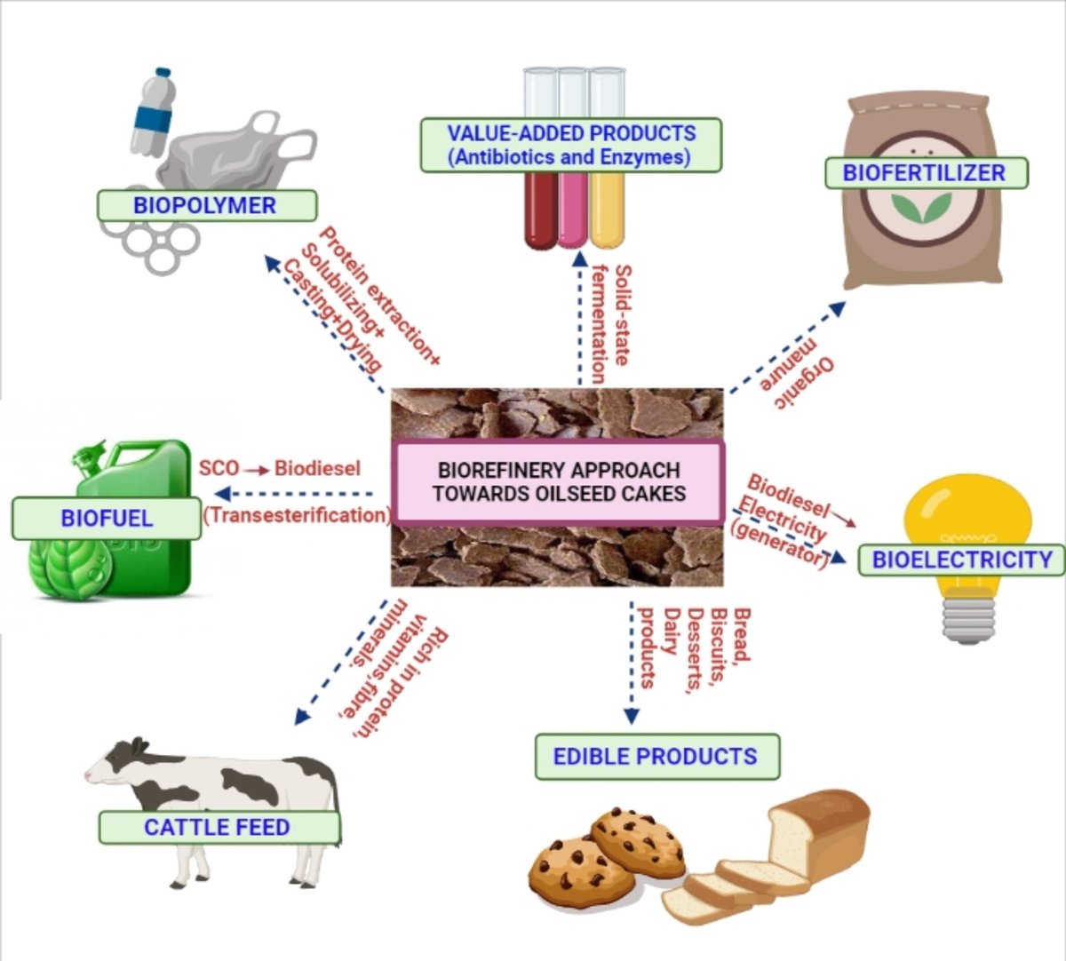 JabetEditor's tweet photo. A #comprehensivereview on #oilseedcakes and their potential as a #feedstock for integrated #biorefinery

https://t.co/EW8KRIjFM5 https://t.co/1dp8B4Xhtn