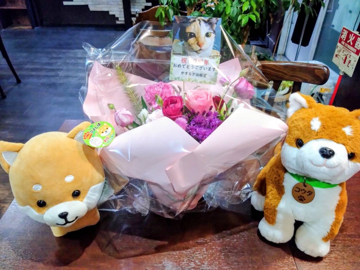 BLOSSOM_gyotoku's tweet image. やすらぎさんご夫妻が来店し、7周年のお祝い花束を頂きました!
やはりご夫婦のお人柄が素晴らしいです⋯
微力ではありますが、これからも応援させて頂きます。
#行徳 #市川市 #妙典 #カフェブロッサム