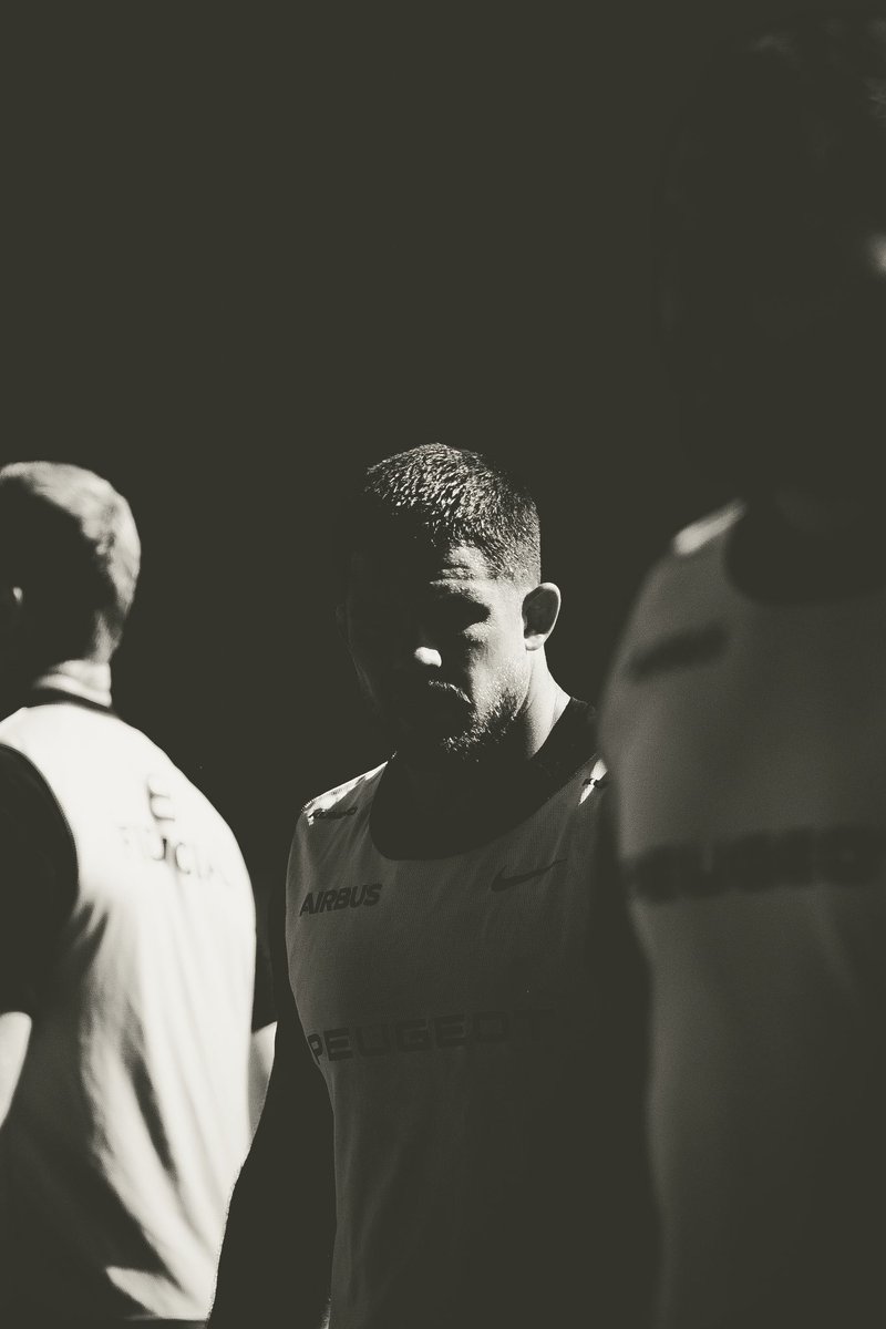 Stade Toulousain tweet media