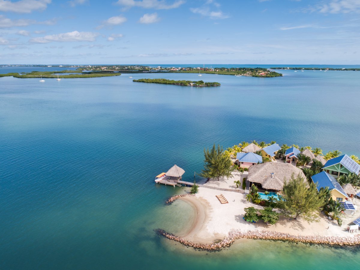 Gecko Vacation Rentals tweet media