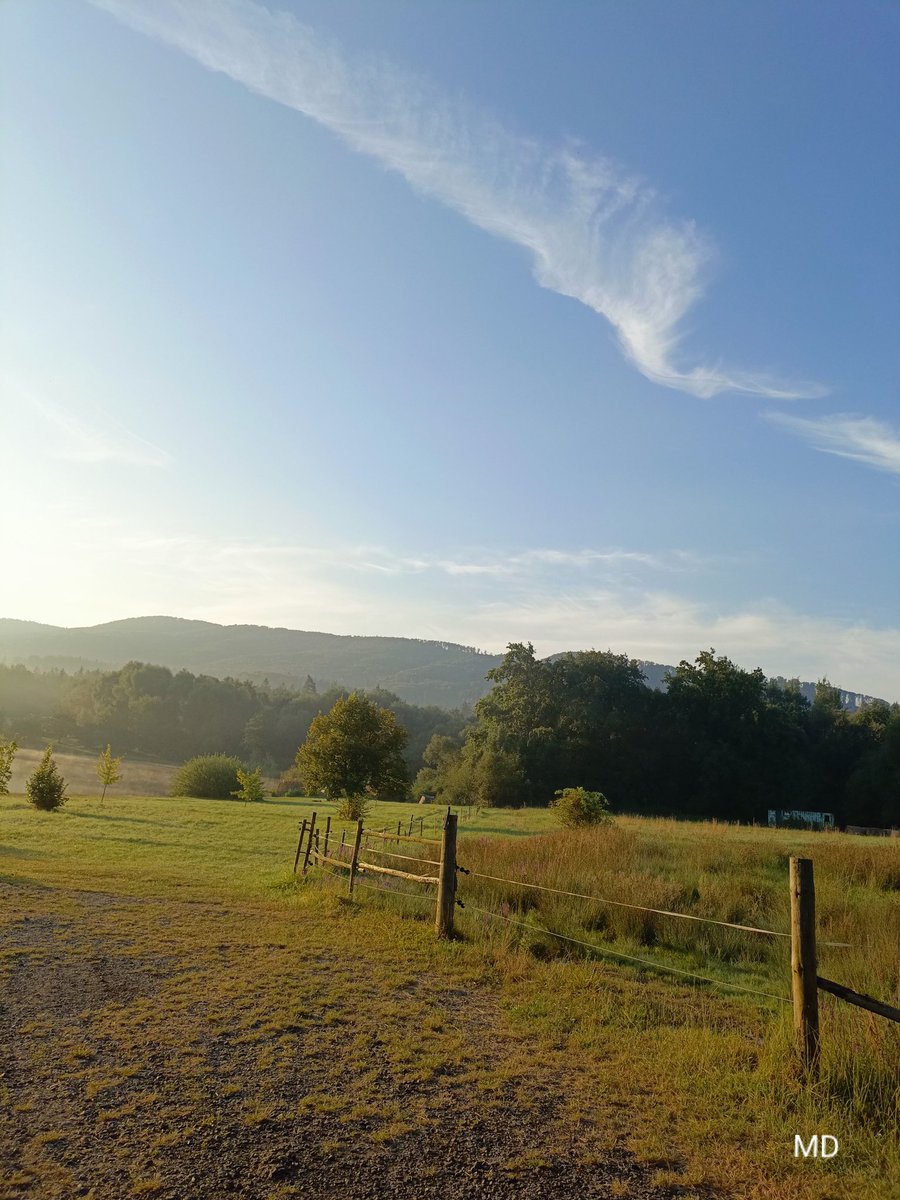 Martina Dvorská (@martinadvorsk2) on Twitter photo 