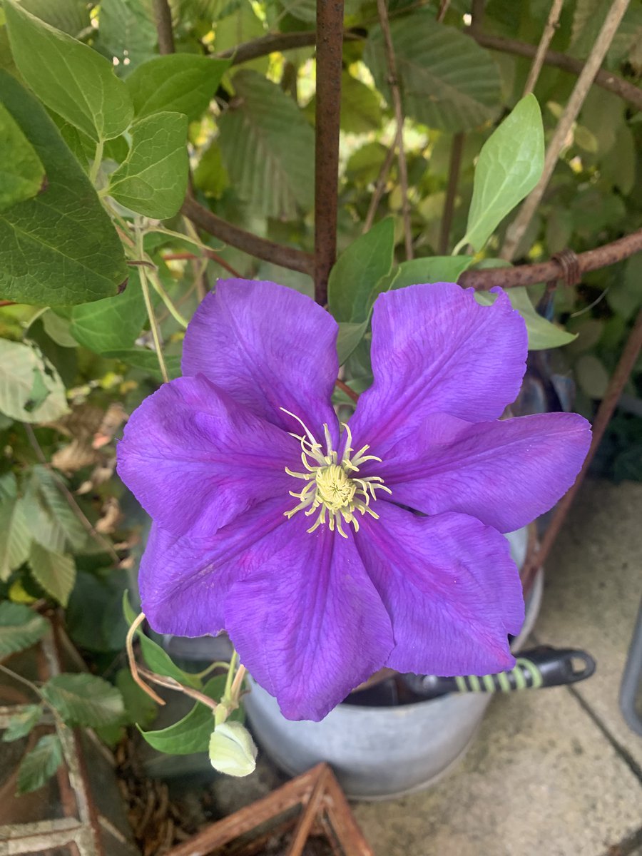 lynne sutton (@lynnesutton1) on Twitter photo 