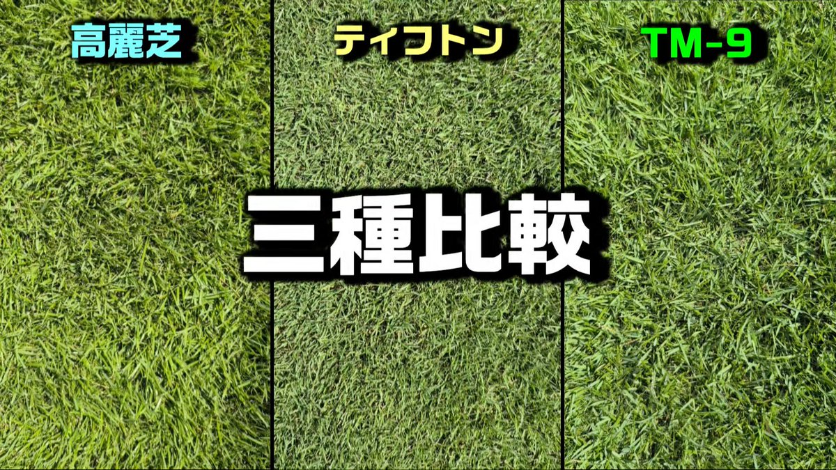 つりきっぷ / 家庭で自然を楽しむ tweet media