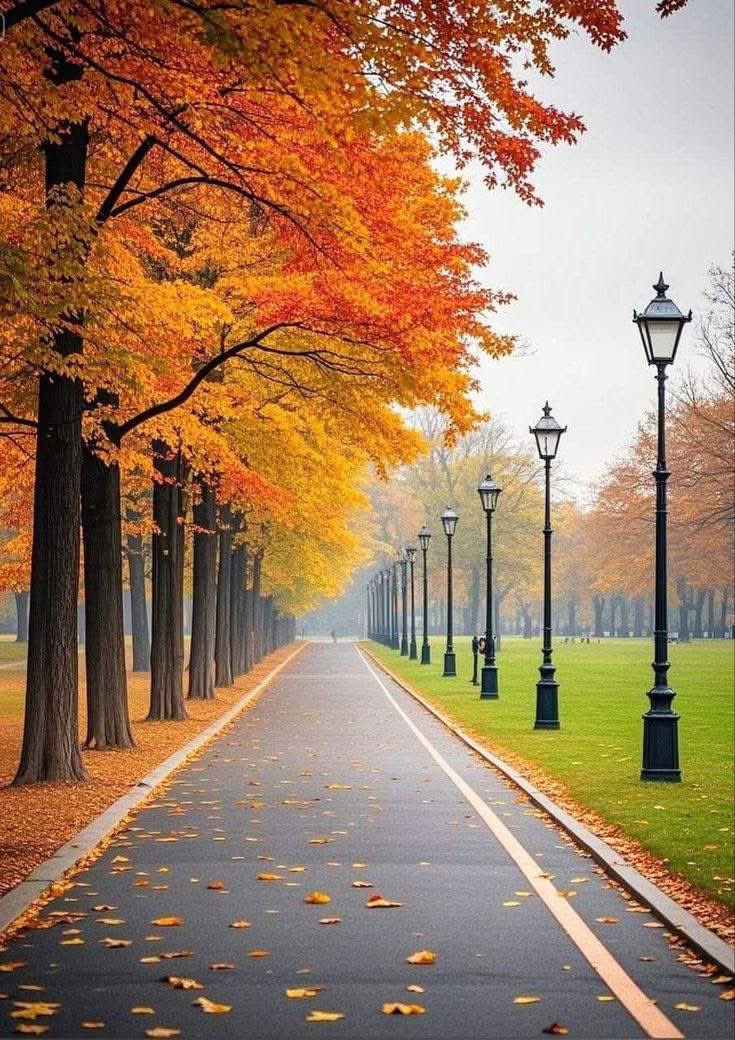 InsatiableVVIP's tweet image. Splendid view ❤️💕♥️