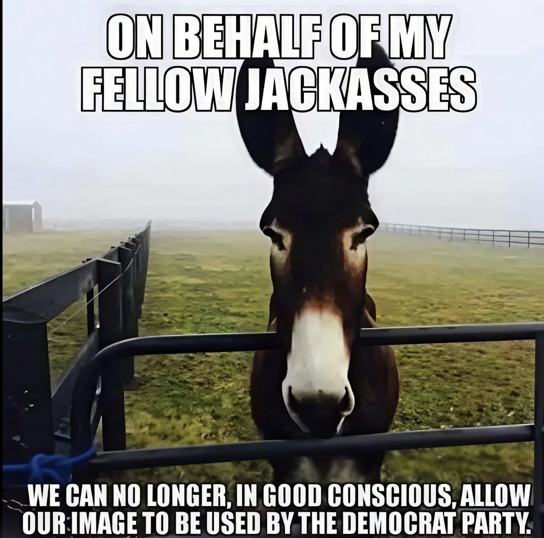 Jack O'Neil (@jackoneil9) on Twitter photo 