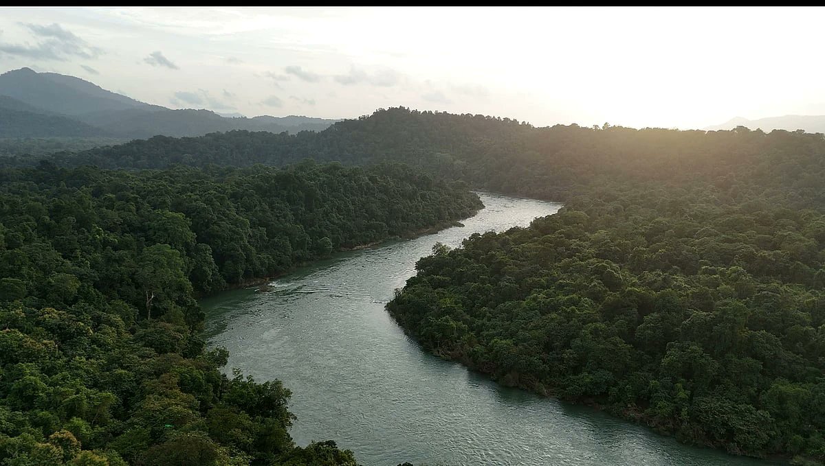 sauramtv's tweet image. ಶರಾವತಿ ಪಂಪ್ಡ್ ಸ್ಟೋರೇಜ್ ಯೋಜನೆಗೆ ಆತಂಕ: ಅಪರೂಪದ ಪ್ರಬೇಧಗಳಿಗೆ ಅಪಾಯ; ಪರಿಸರವಾದಿಗಳಿಂದ ತೀವ್ರ ವಿರೋಧ

#sharavathiproject #EnvironmentalConcerns #RareSpecies #protest #Sustainability

sauramtv.com/concerns-over-…