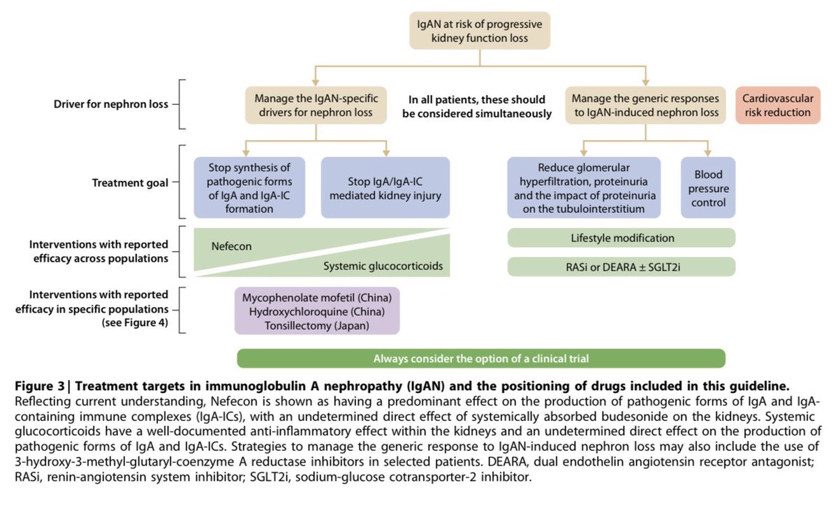 The KDIGO 2025 IgAN guideline now encourages a more liberal kidney biopsy policy and suggests aiming for stricter proteinuria control, with a goal of &lt;0.5 g/d, ideally &lt;0.3 g/d, and a stable estimated glomerular filtration rate.

🔗kidney-international.org/article/S0085-…