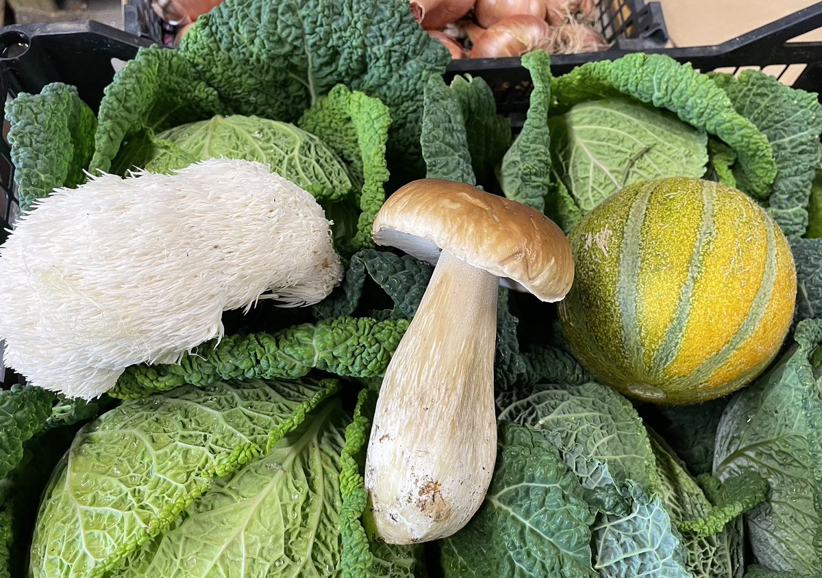 FoodFloat tweet media