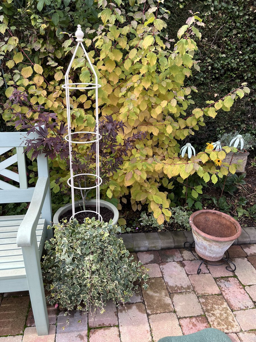 Hi everyone. First job of the afternoon is to start emptying pots of the Summer bedding in readiness for bulb planting when my order arrives. #gardening #gardeninglife