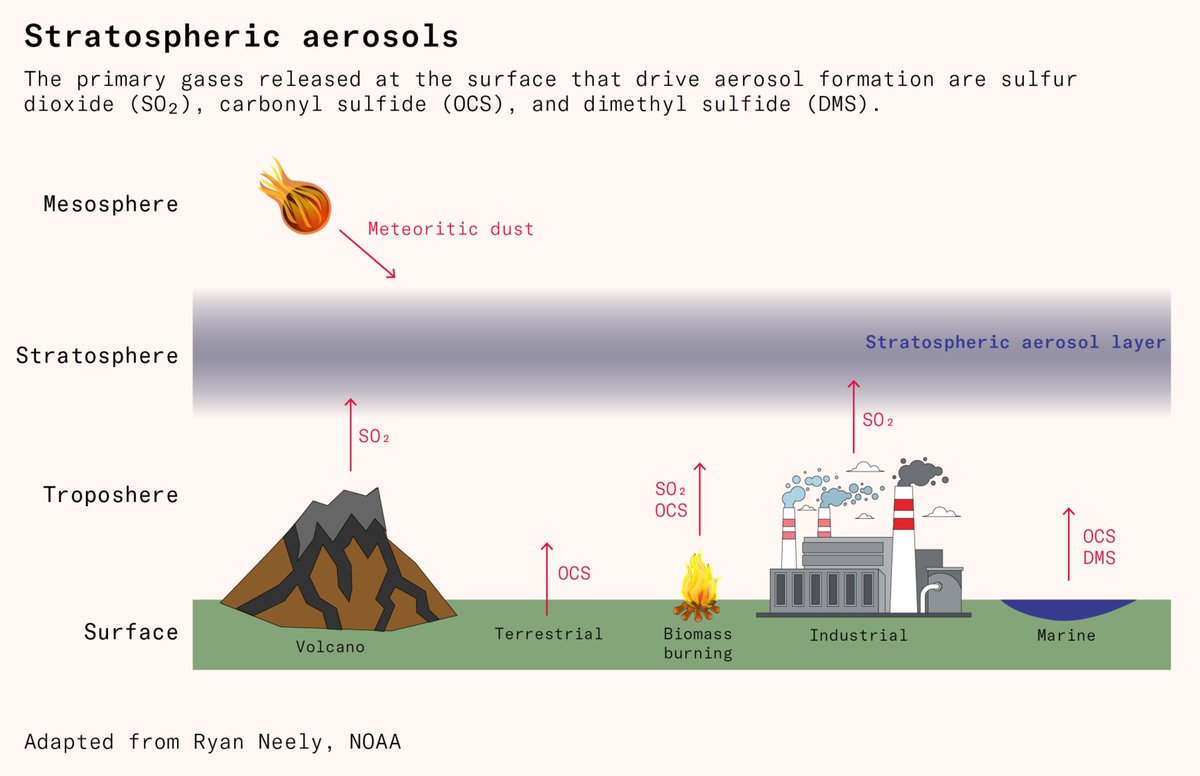 Sam Bowman tweet media