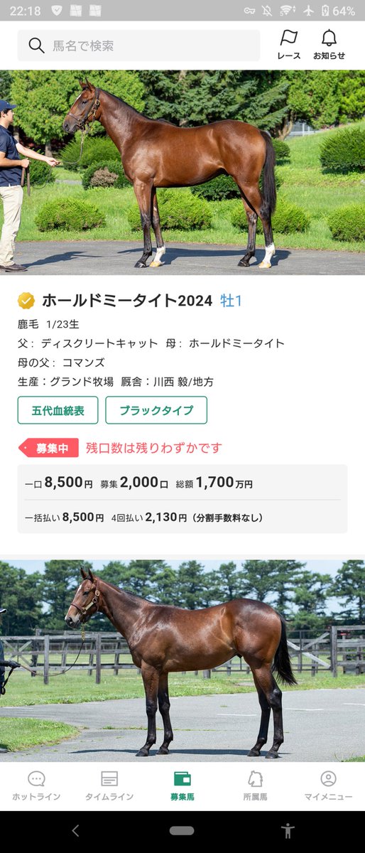 川西先生大好き界隈がさ(^^)(^^)(^^)
いやさ、一口馬主をさ。本当に本当に本当に。一口馬主を心の底から楽しめるのはさ。名古屋の川西先生しかさ(^^)(^^)(^^)世界の先生好き界隈の方々とはさ。別の次元だからさ(^^)(^^)(^^)
#川西先生