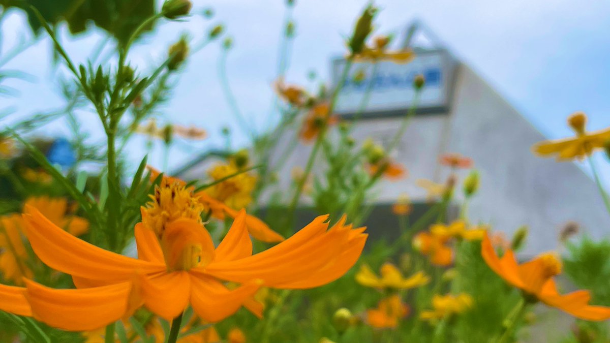 本日もお疲れさまでした😌

#いいかも稲城 #かめさん公園