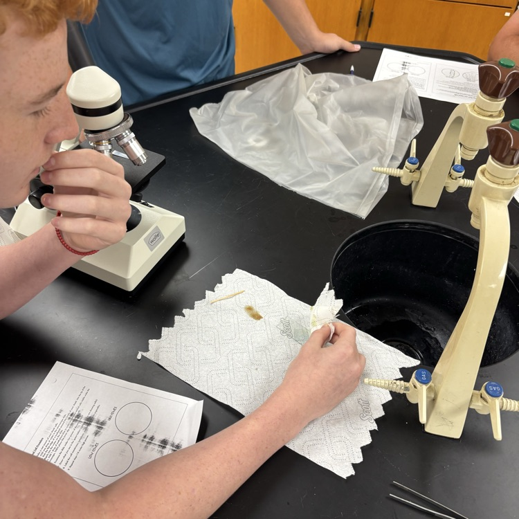 🔬 Students in Coach Garrett’s Biology class are exploring the microscopic world! Today, they observed cheek cells under the microscope, getting a close-up look at science in action. 🧬