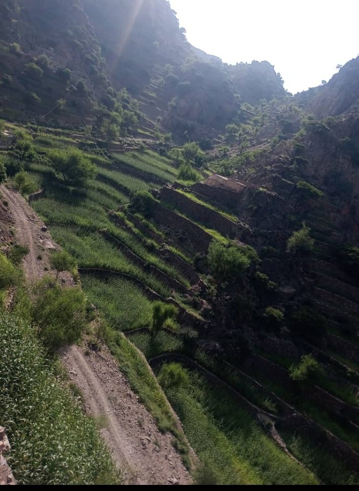 هذي بلادي وانا فلاحها والبتول..