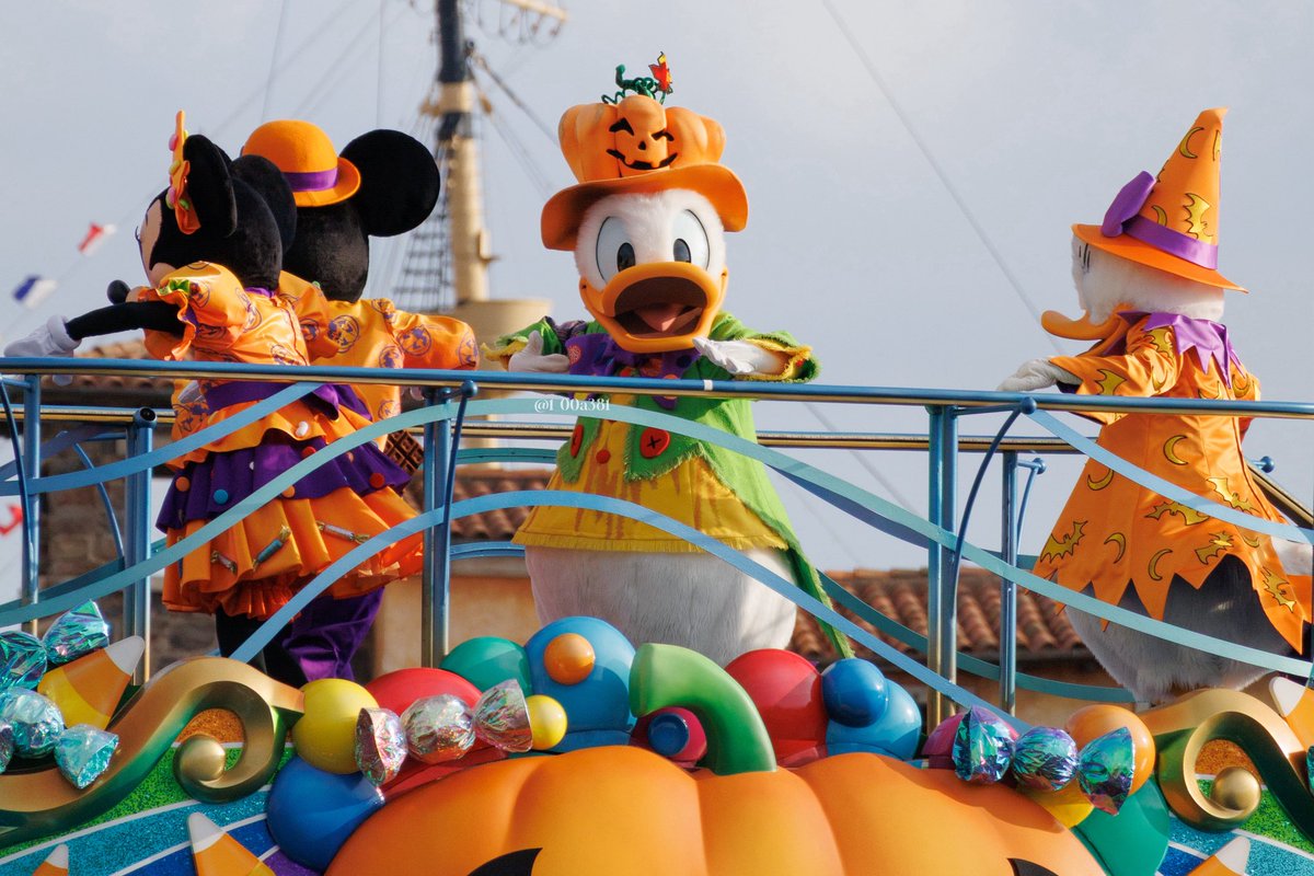 ドナちゃんこっち向いてくれること多くてハピだった🎃