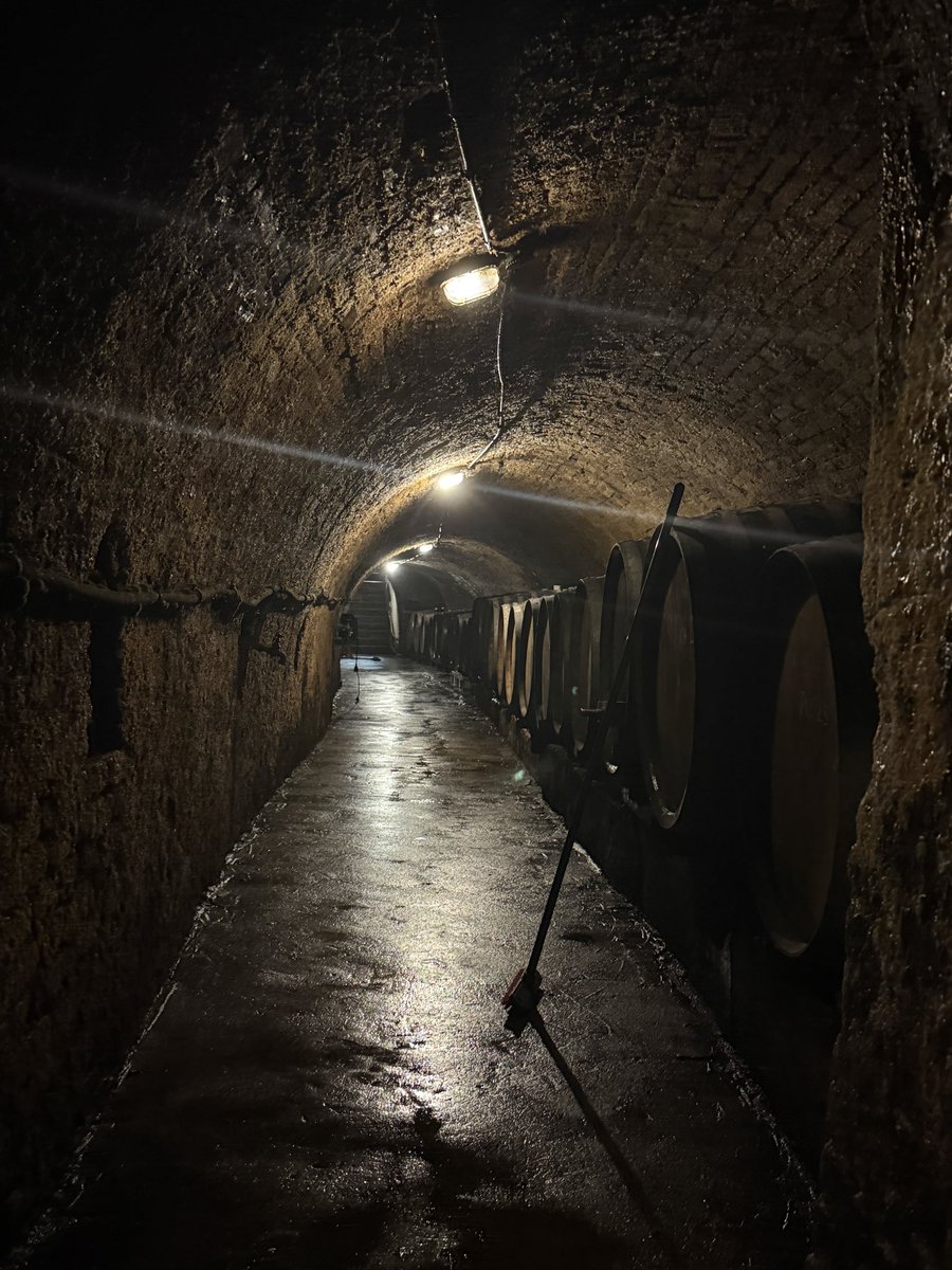 Against the odds in a Weinvertel village that mostly makes simple wine, Marion &amp; Manfred Ebner-Ebenauer have built one of Austria’s most impressive brand. 
Ambitious sparkling wines but I love the single-vineyard Grüners too.  Beautiful place and amazing people.