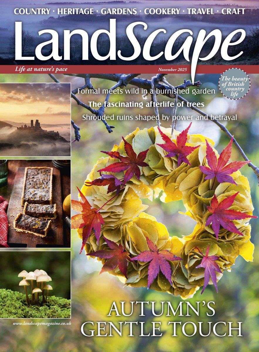 The November issue of LandScape magazine goes on sale today! This issue is packed full of delicious recipes, seasonal crafts, garden inspiration and more. Plus, visit <a href="/BCLivingMuseum/">Black Country Living Museum</a> where history is close enough to touch. Subscribe now: greatmagazines.co.uk/landscape-maga…