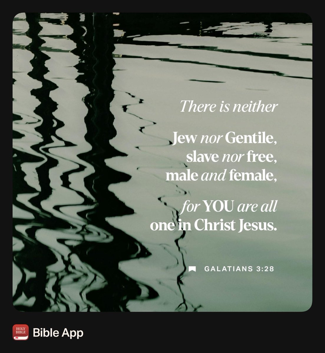 “There is neither Jew nor Greek, there is neither slave nor free man, there is neither male nor female; for you are all one in Christ Jesus.”
Galatians 3:28 NASB1995
bible.com/bible/100/gal.…