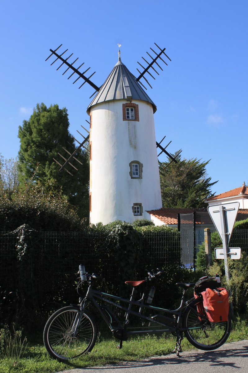 Martin Hey tweet media