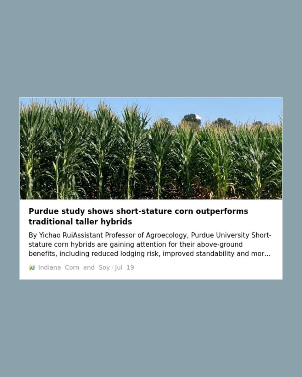 incornandsoy.org/purdue-study-s…
Written by Yichao Rui