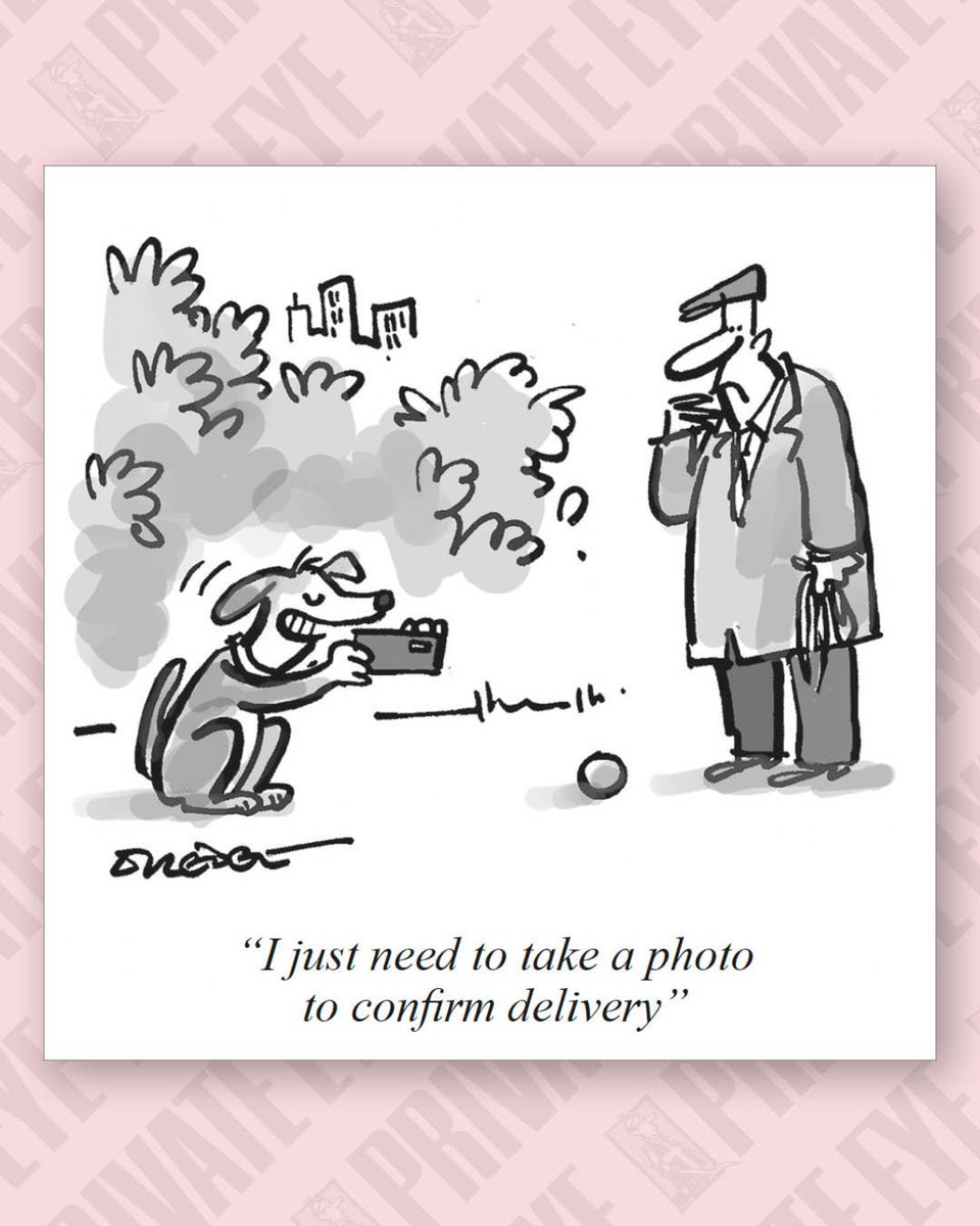 Slinky Pants & Fuzz Ball (@fly_mist) on Twitter photo 