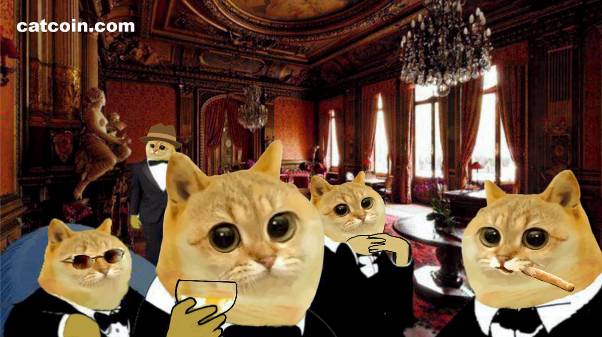 catcoin's tweet image. Massive congrats to $BNB, keep flying high 🚀🔥