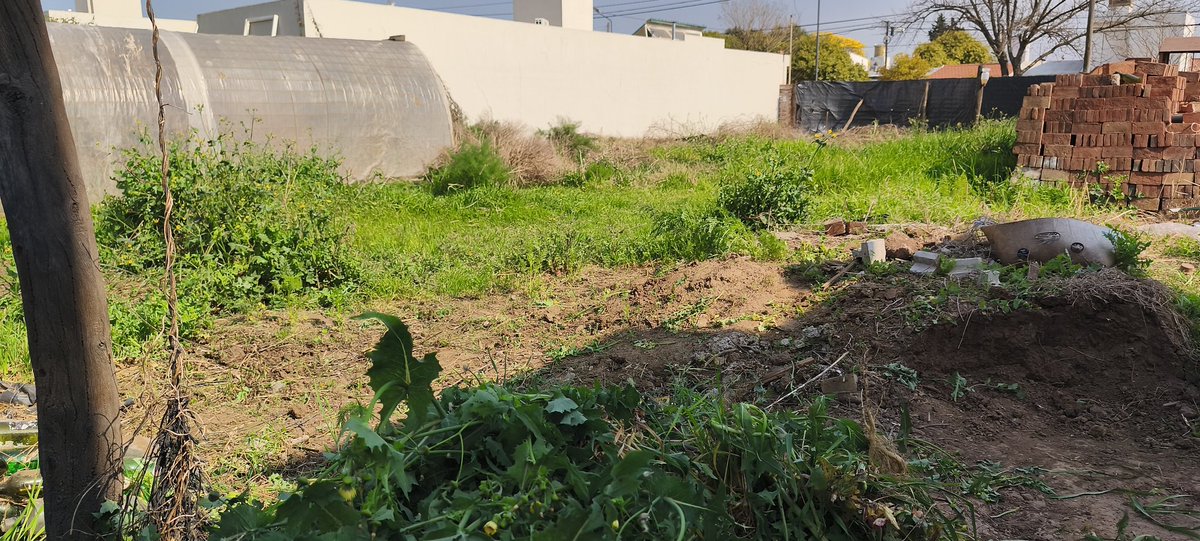 Enrique Bessone 🚜 tweet media