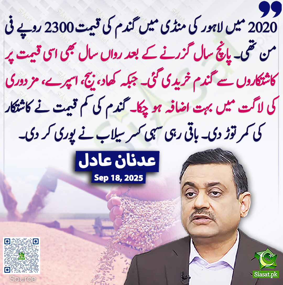 2020 میں لاہور کی منڈی میں گندم کی قیمت 2300 روپے فی من تھی۔ پانچ سال گزرنے کے بعد رواں سال بھی اسی قیمت پر کاشتکاروں سے گندم خریدی گئی۔ جبکہ کھاد، بیج، اسپرے، مزدوری کی لاگت میں بہت اضافہ ہو چکا۔ گندم کی کم قیمت نے کاشتکار کی کمر توڑ دی۔ باقی رہی سہی کسر سیلاب نے پوری کر دی۔