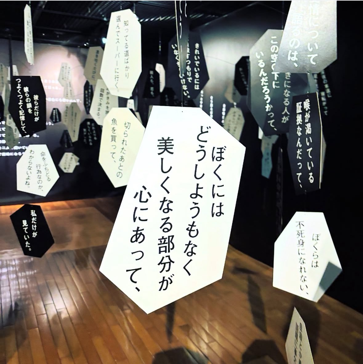 tt_ss's tweet photo. 最果タヒ展は9/21までです🌹
前橋文学館。 https://t.co/ZPPZIM4wpT