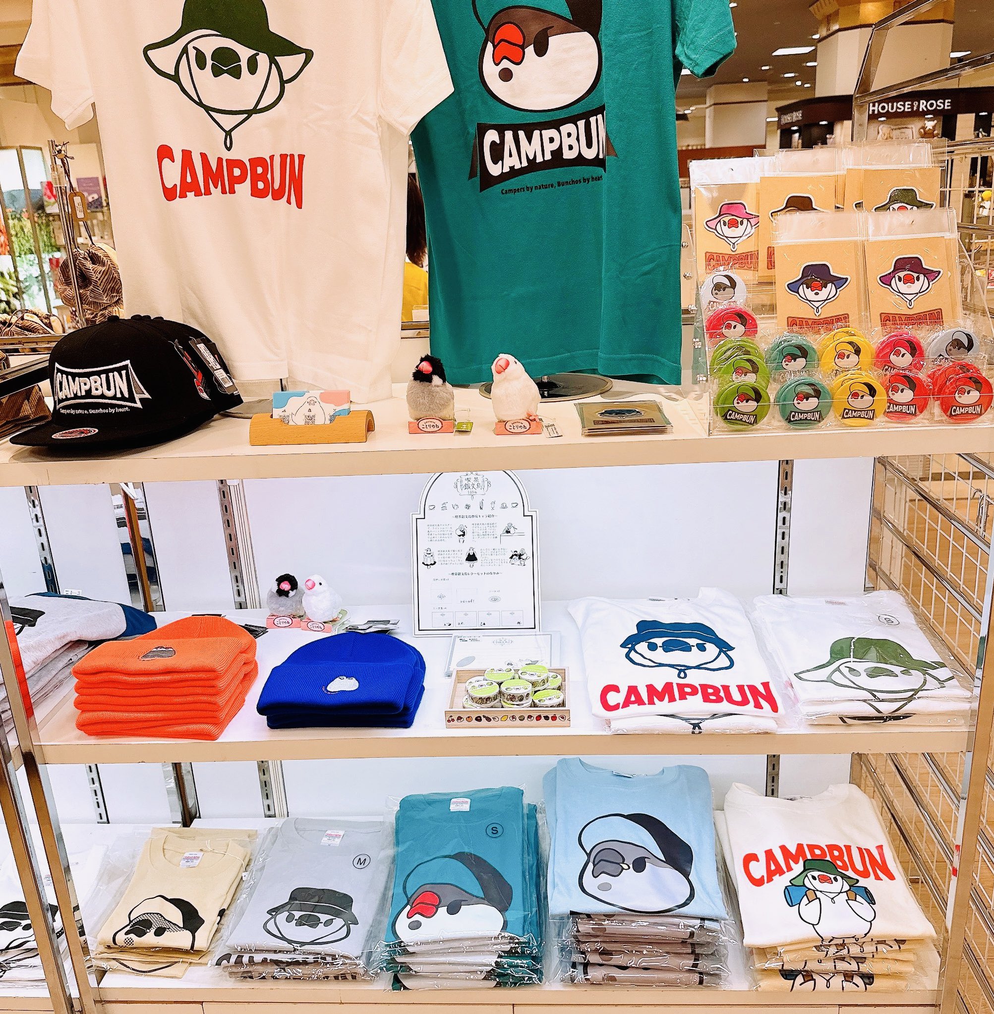 コトリアーケード@CAMPBUNとキャンプ！ (@kotoriarcade) / X