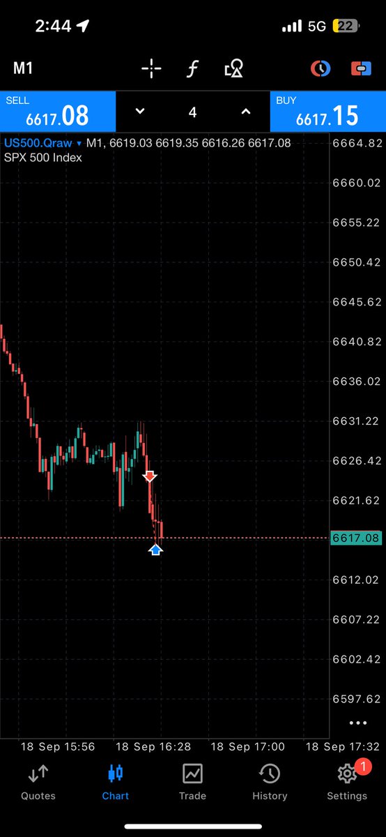 MOZDOG🐶🚀 tweet media