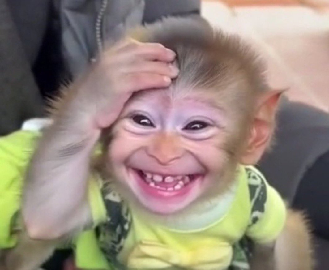 Malume🇲🇼 (@irunonsarcasm) on Twitter photo 