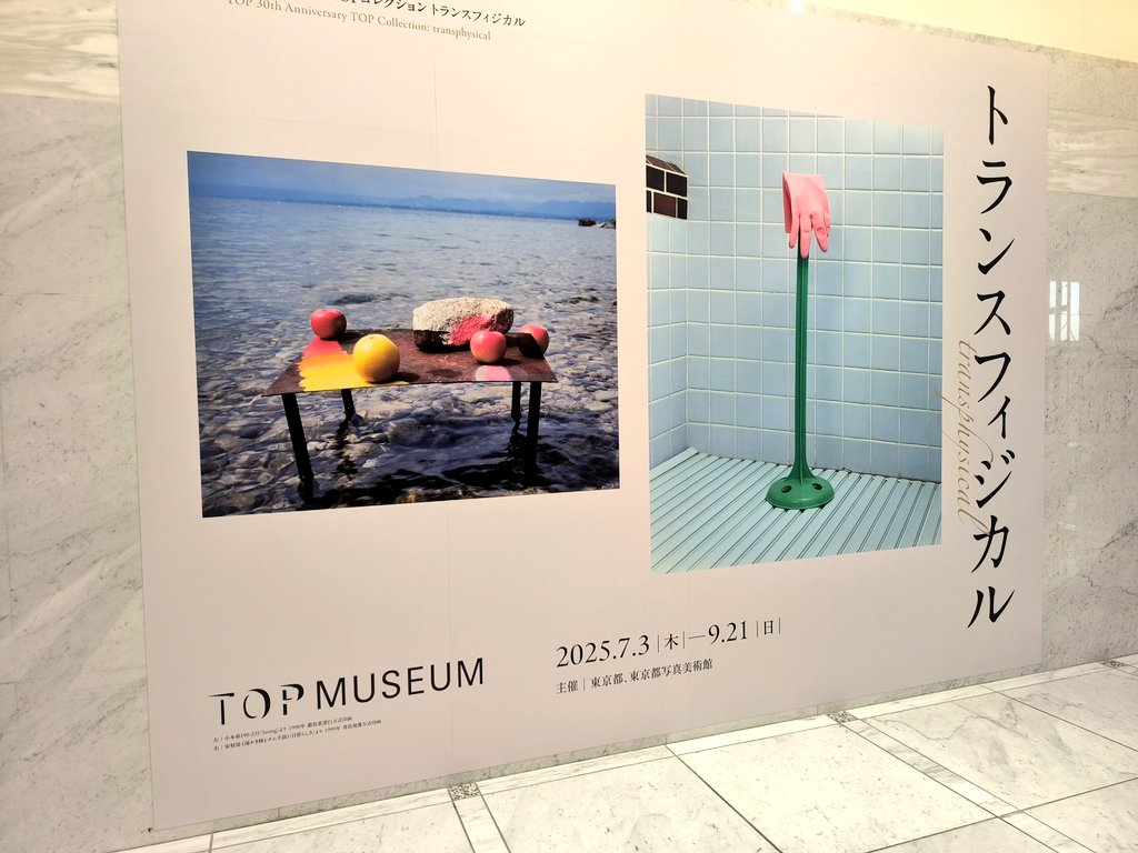 キノコヤ🎥🍄 tweet media