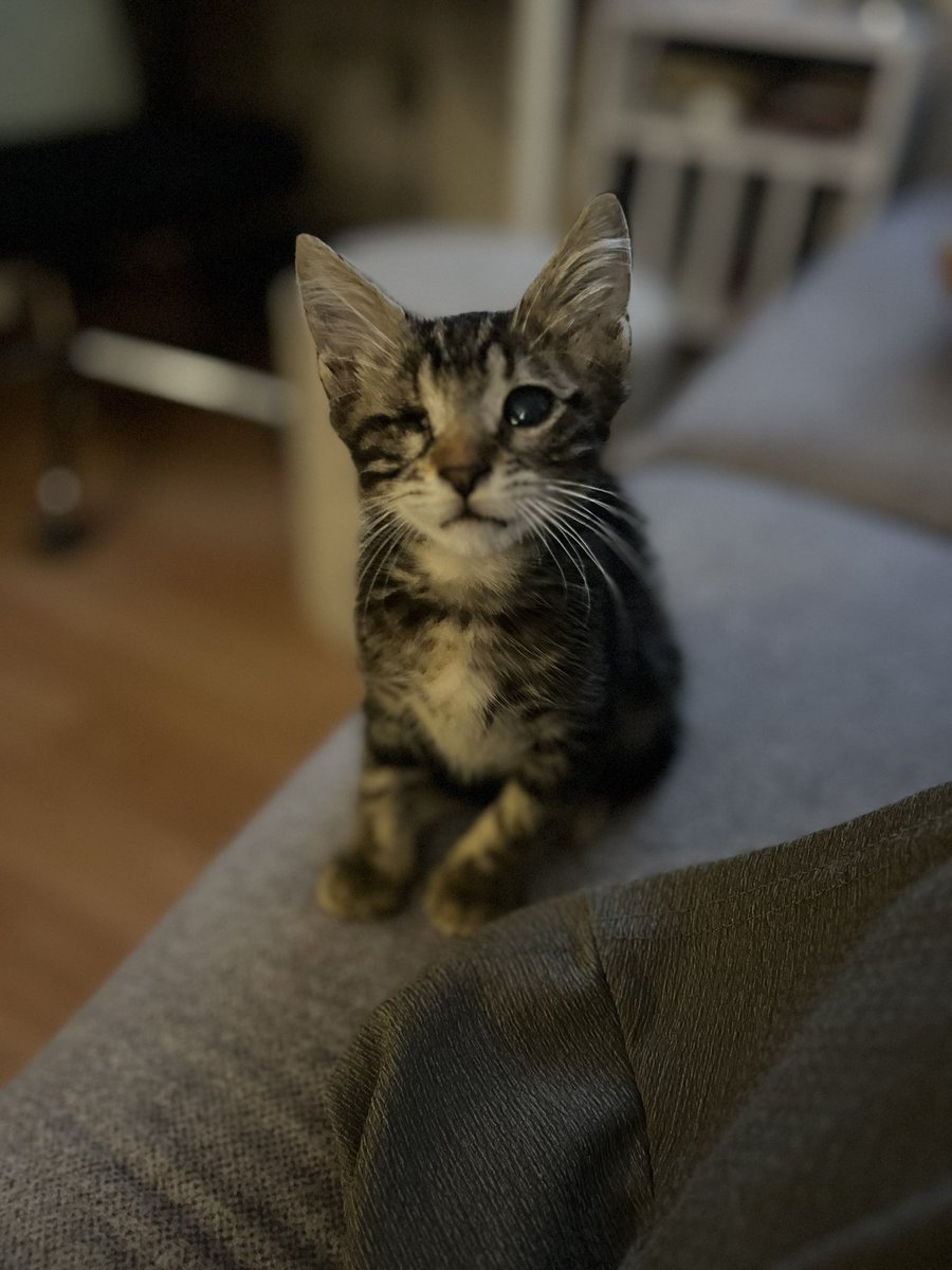 bana yufa olur musunuz lüffem