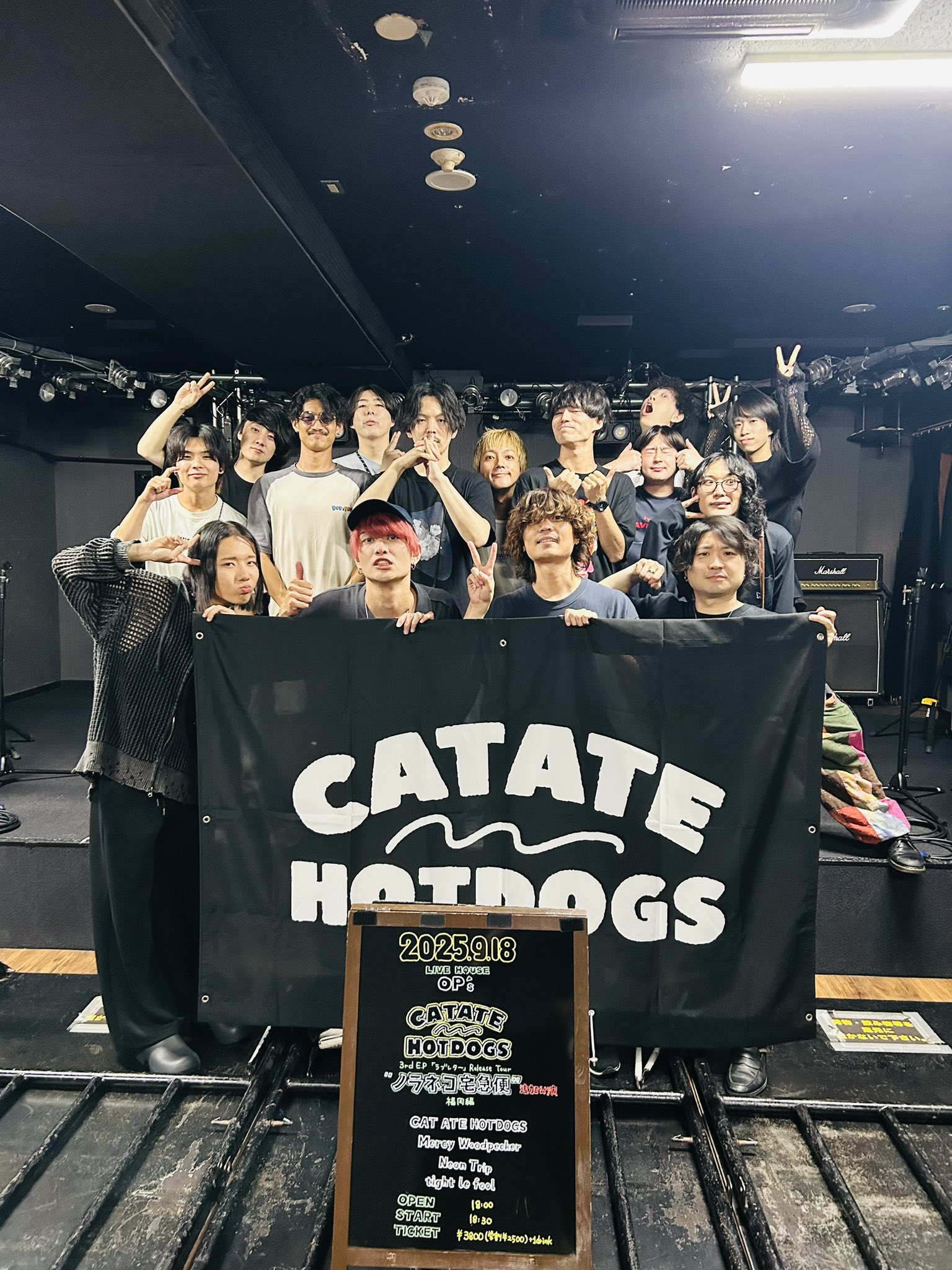 CAT ATE HOTDOGS (@CatAteHotdogs) / X