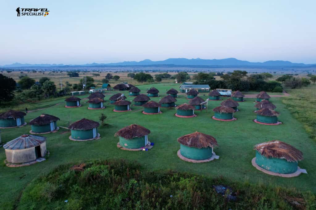 Once in <a href="/KidepoPark/">Kidepo Park</a>, you can't hesitate to spend a
 night in the spacious lodges within the park that offers both budget friendly and high-end accommodations. 

Check out here: a night in the wild where tranquillity meets elegance.  

#OpenParkDays2025 
#Travelspecialists