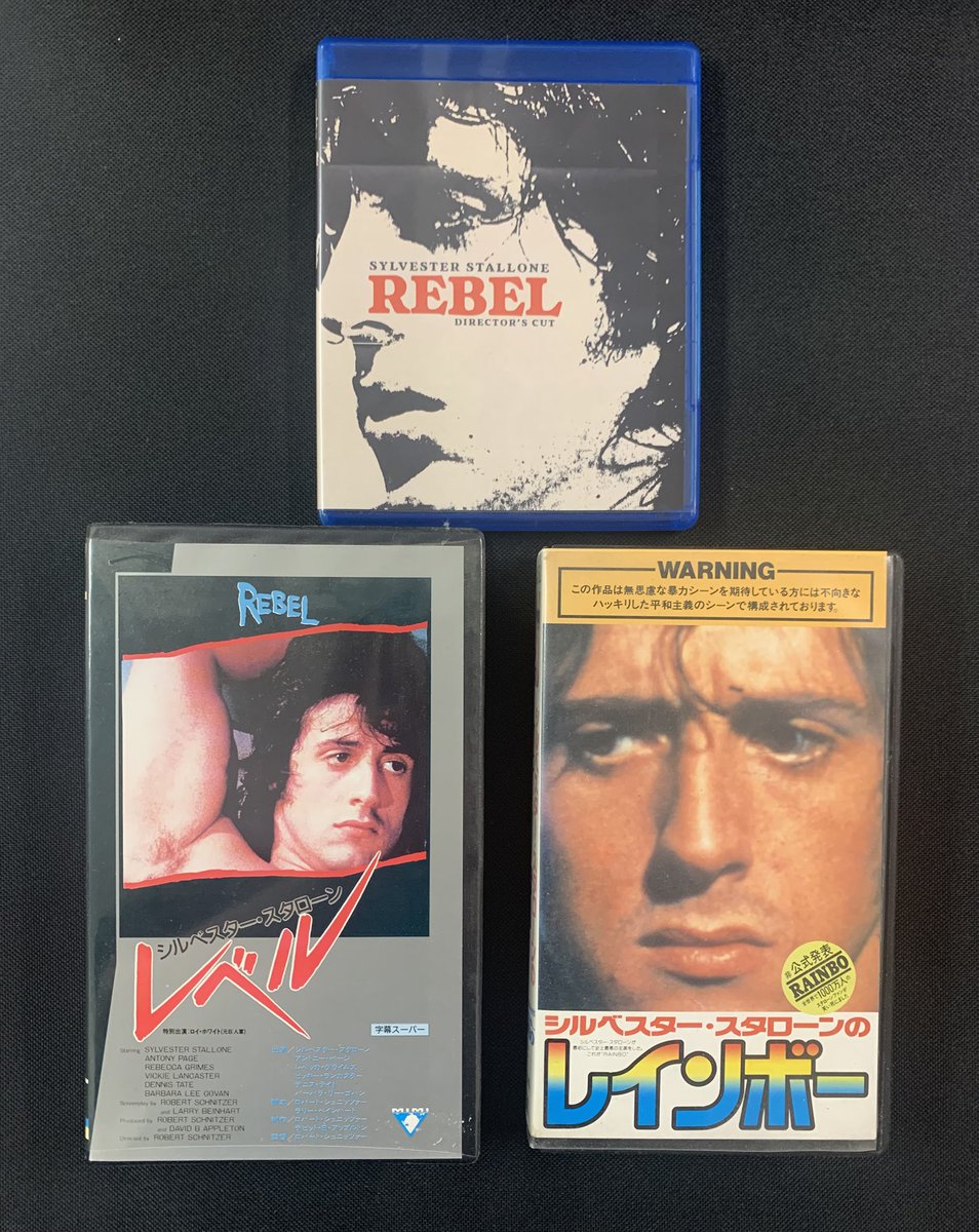 シルベスター・スタローンの無名時代の幻の主演作品 写真上 「REBEL