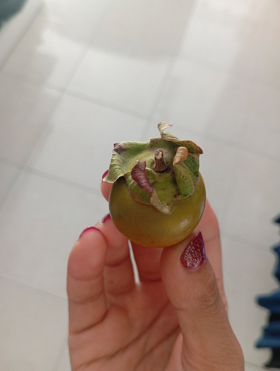 Çen büyüğünce hurma mı olcan 🤣