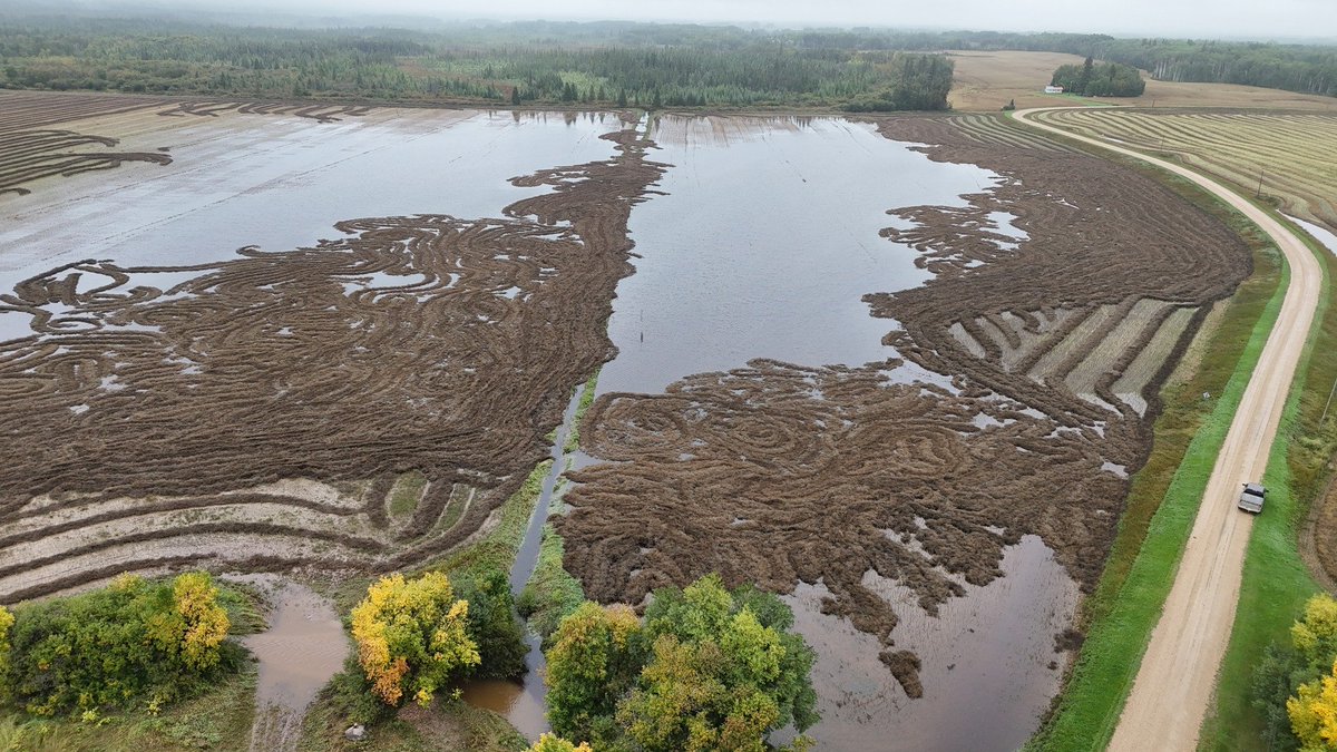 Ryan Hofford tweet media