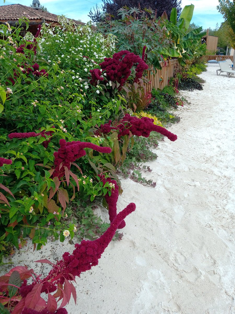 <a href="/CavellinPatrick/">Deville Cavellin Patrick</a>