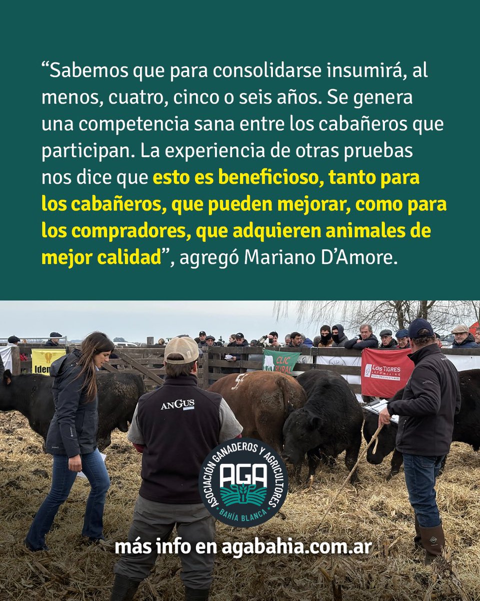 Prueba Pastoril Bonaerense: Un proyecto con activa participación de la AGA agabahia.com.ar/nota/prueba-pa…