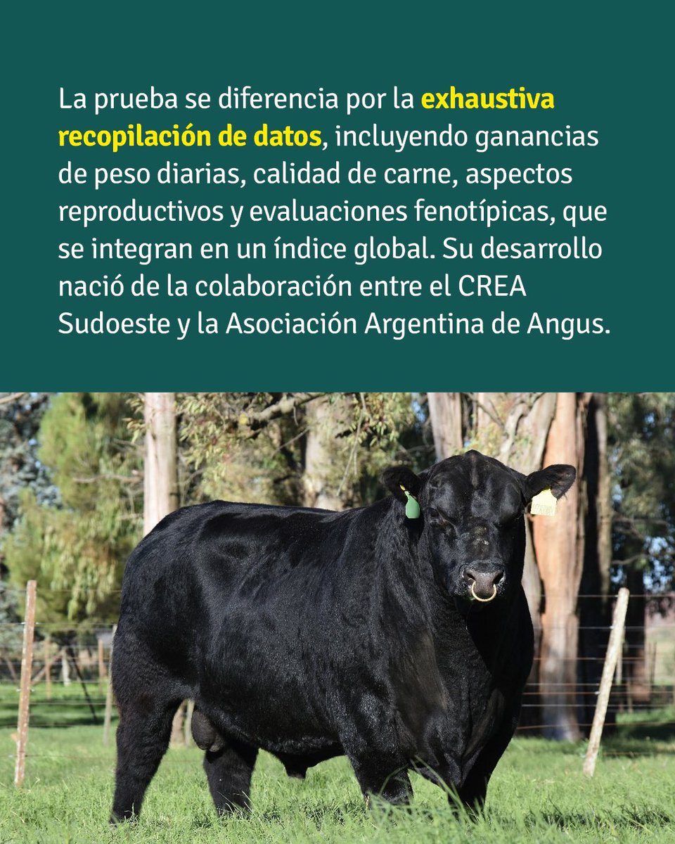 AGA Bahía Blanca tweet media