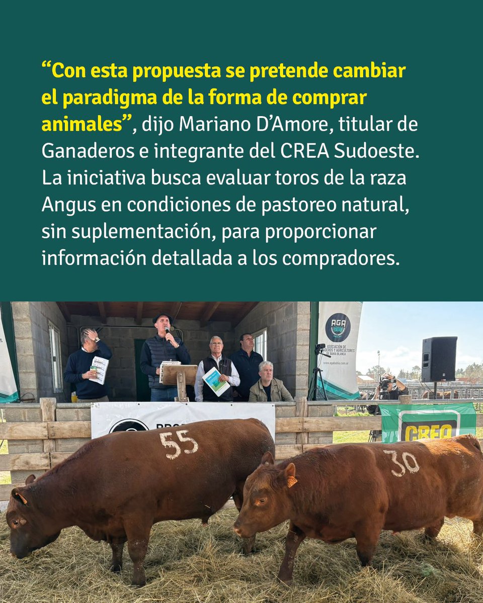 AGA Bahía Blanca tweet media