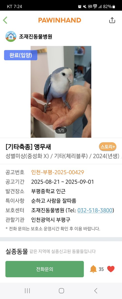 mammu_2's tweet photo. 포인핸드하세요🧡
여러분의 사랑과 손길을 기다리는 아이들이 있어요
새로운 인연을 찾는 분들이 있다면 포인핸드를 통해 찾아보는 건 어떨까요?
작고 여린 생명들의 새 가족이 되어주세요🧡 https://t.co/OPJPigZkDu
