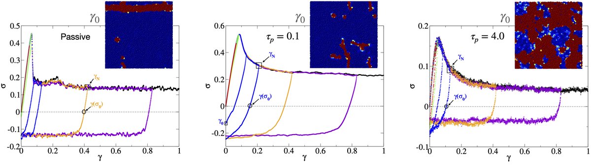 Stress responses to switching strain direction in passive versus active ultrastable glasses display a transient memory effect in the latter, allowing the system to heal and elucidating a counterintuitive way structural memory forms in amorphous solids.

🔗 go.aps.org/42x68Wx