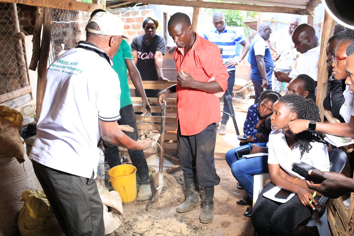 ESAFFUG's tweet photo. Journalists in the 5th Cohort of the @Agroecology_Sch have been taken through the Agroecology Learning Journey at Alwana Natural Farm in Nakasuku, Mukono district.

They engaged in a hands-on approach to different agroecological practices, from learning how to make biofertilizers and biopesticides, to actively participating in real eco-farming activities on the farm.

Now, equipped with lived knowledge and compelling content, these communicators return to their platforms as storytellers of change, ready to amplify agroecology as a powerful alternative to industrial agriculture and a pathway to food sovereignty for communities across Uganda and beyond.

#AgroecologyNow
#FundAgroecology