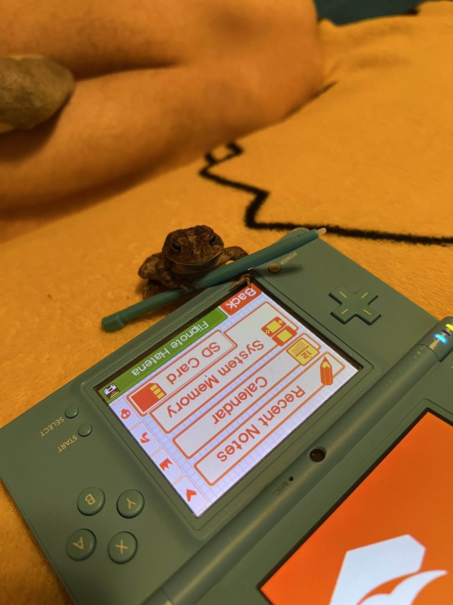 Sudomemo: Share Flipnotes on 3DS & DSi tweet media