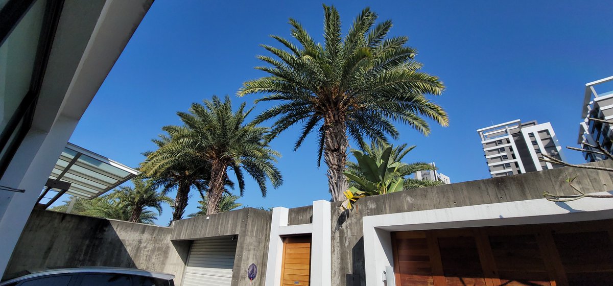 cryptonanay.eth tweet media