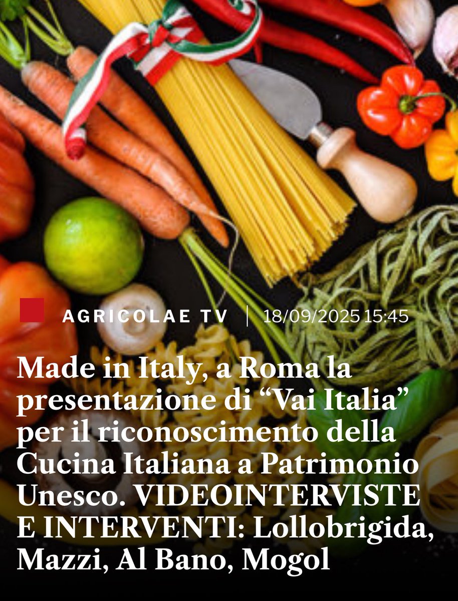 Agricolae1's tweet image. #MadeinItaly, a Roma la presentazione di “#VaiItalia” per il riconoscimento della #CucinaItaliana a Patrimonio #Unesco. VIDEOINTERVISTE E INTERVENTI

@FrancescoLollo1 @SocialMasaf, @mazzi_gianmarco @MiC_Italia, #AlBano, #Mogol 

agricolae.eu/made-in-italy-…