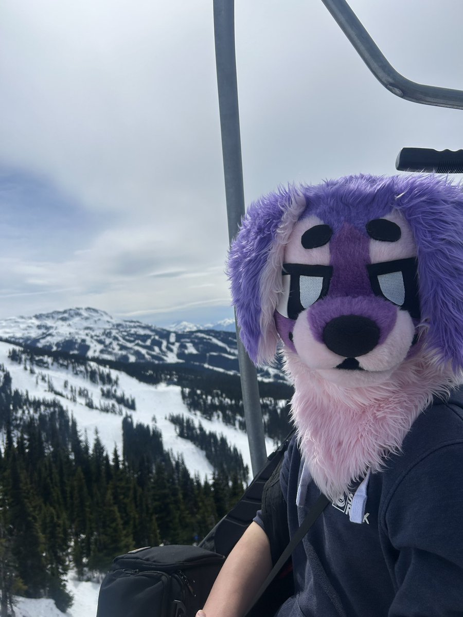 Jasper Bleats 🦌 tweet media